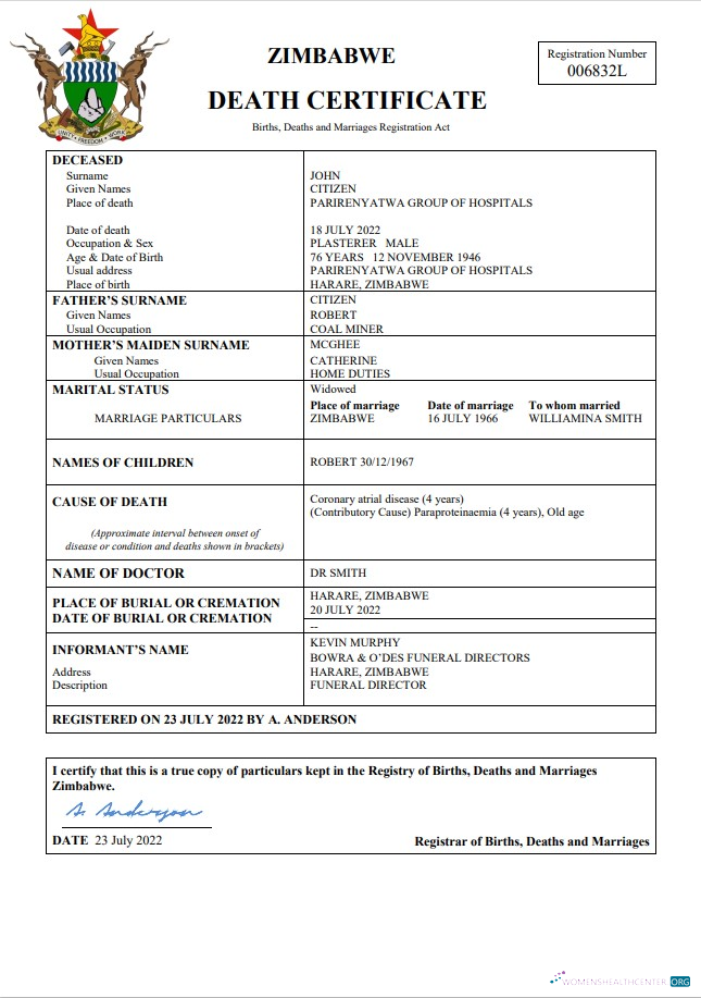 Download Zimbabwe vital record death certificate Word and PDF template Photoshop template
